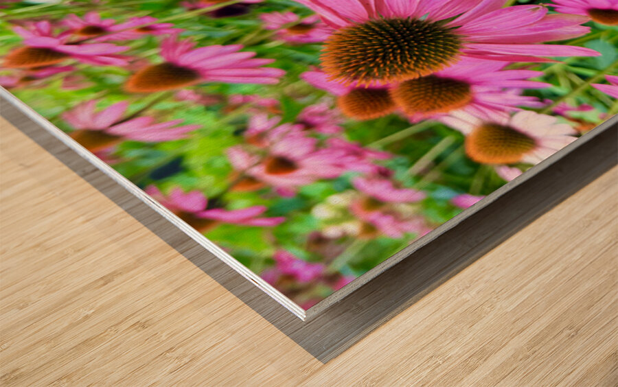 Petal Parade Impression sur bois