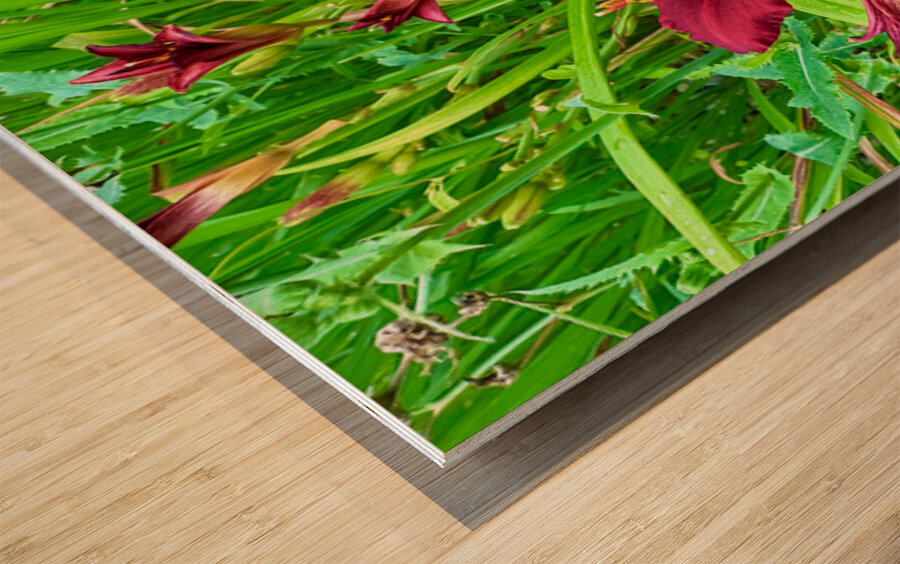 Burgundy Muse Wood print