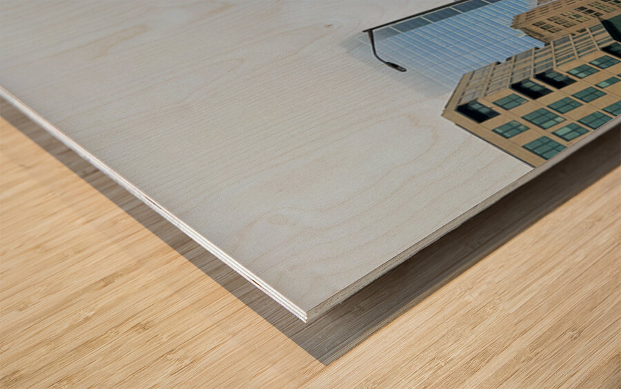 Fogbound Skyline Stroll Impression sur bois