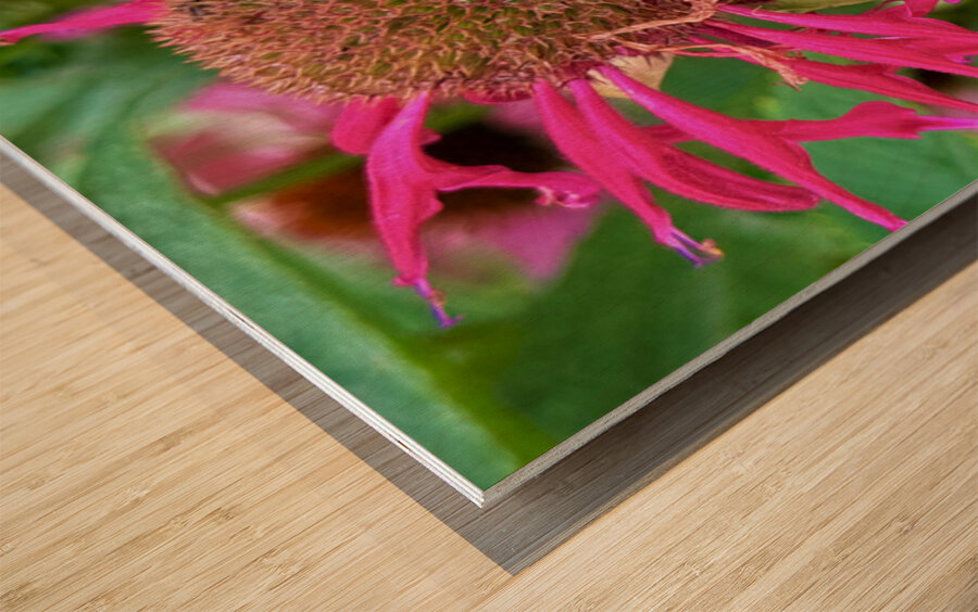 Vital Encounter Wood print