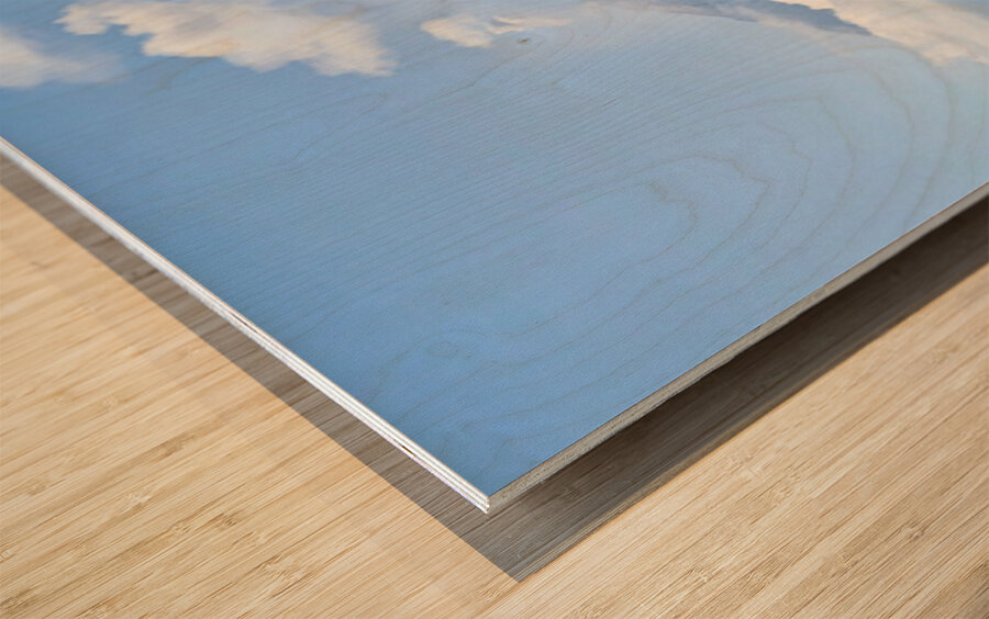 IMG 0088 Impression sur bois