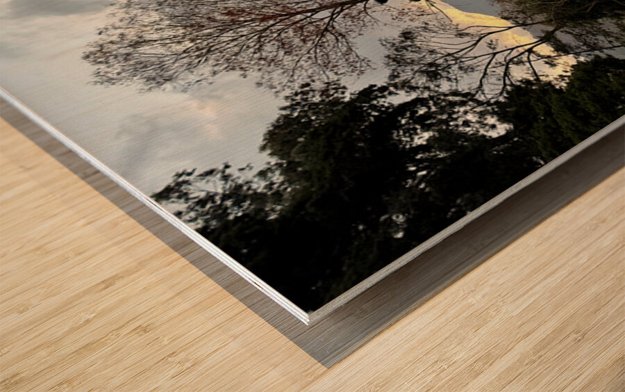 IMG 0467 Impression sur bois