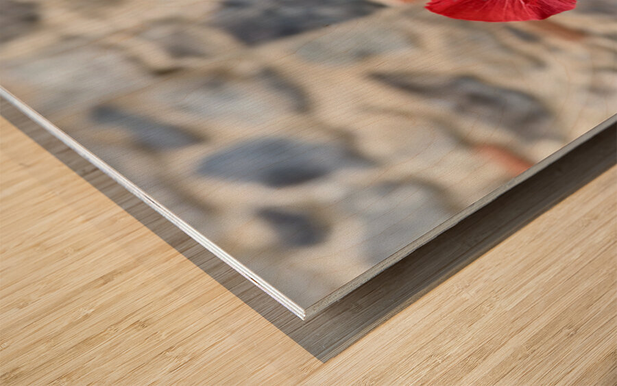 IMG 9957 Impression sur bois