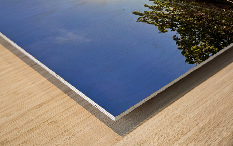 IMG 0019 Impression sur bois