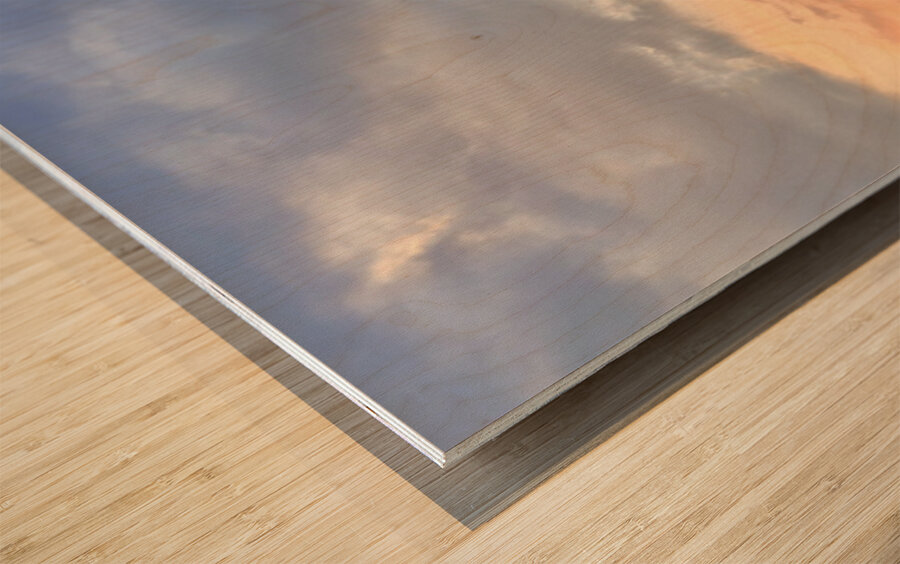 IMG 0502 Impression sur bois