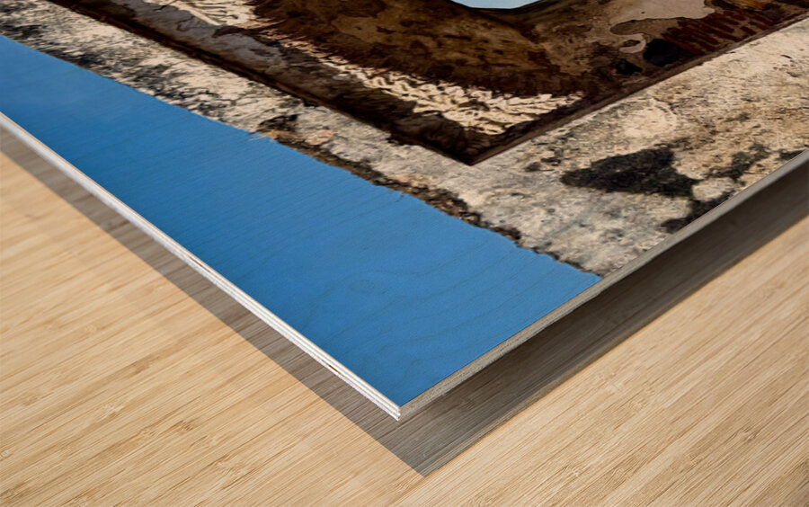 IMG 0101 Impression sur bois