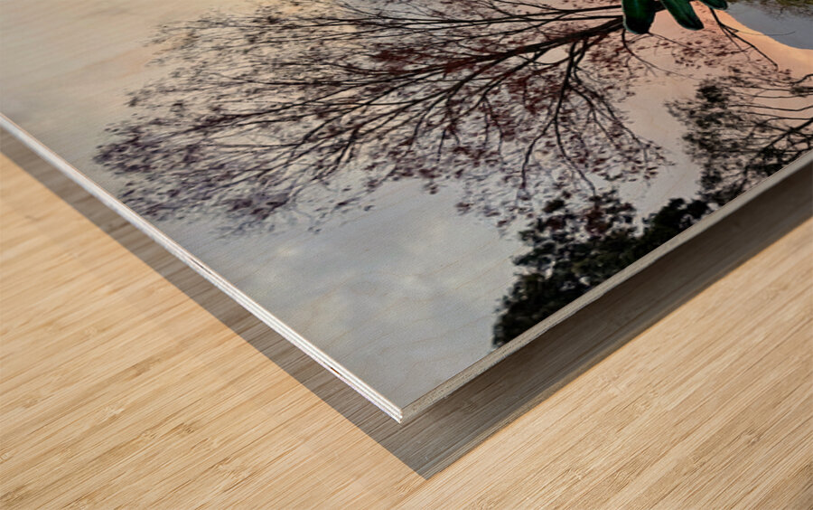 IMG 0496 Impression sur bois