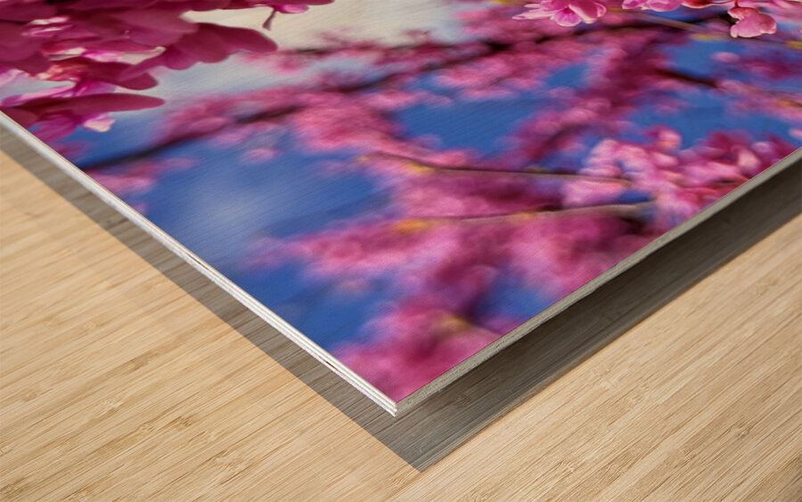 IMG 1577 Impression sur bois