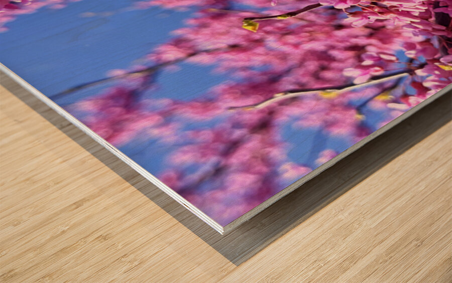 IMG 1620 Impression sur bois