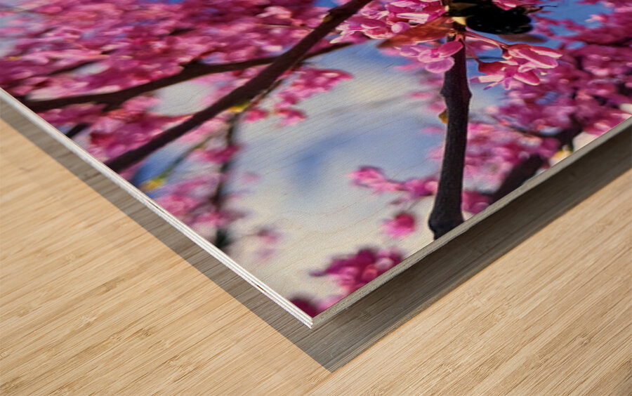 IMG 1659 Impression sur bois