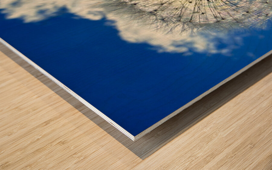 IMG 1740 Impression sur bois