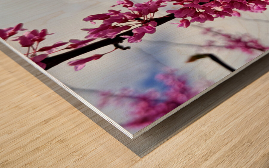 IMG 1528 Impression sur bois