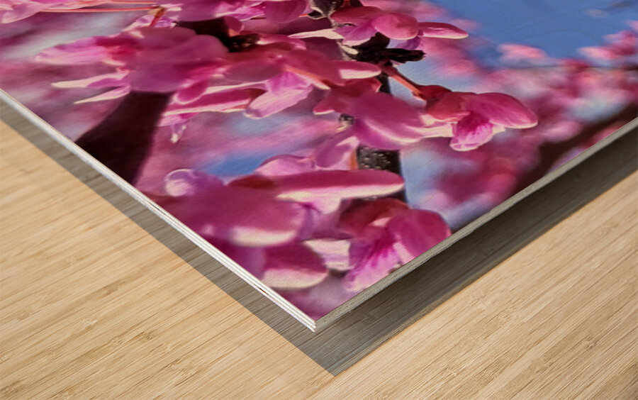 IMG 1648 Impression sur bois