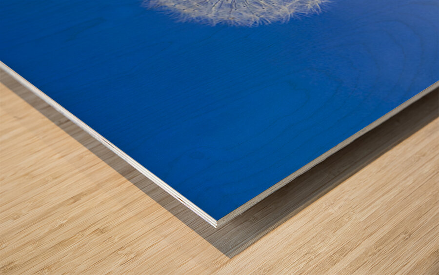 IMG 1764 Impression sur bois