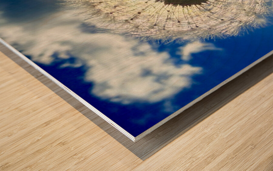 IMG 1743 Impression sur bois