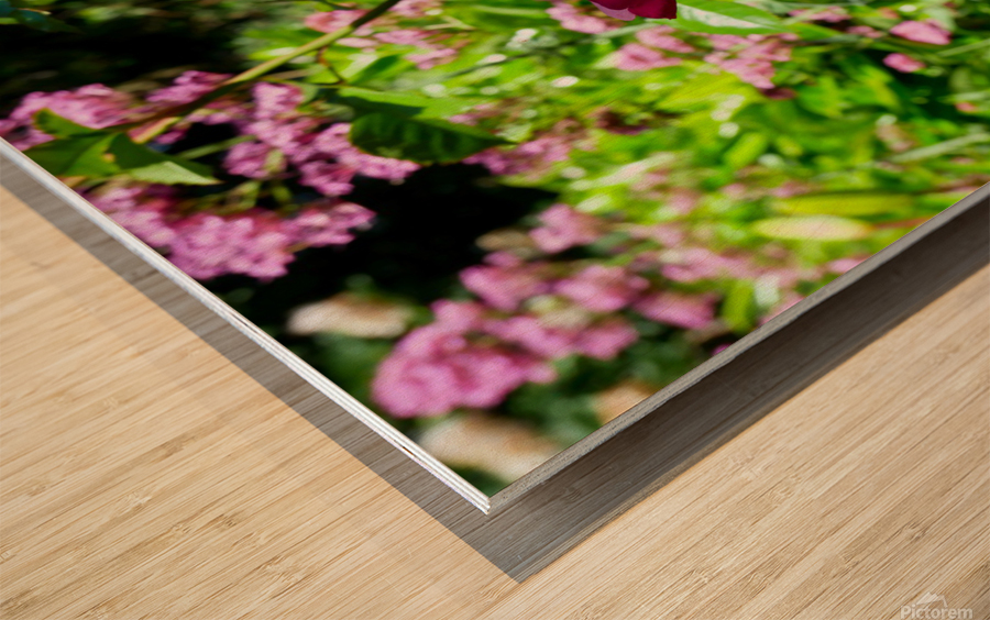 Penelope Purple Wood print