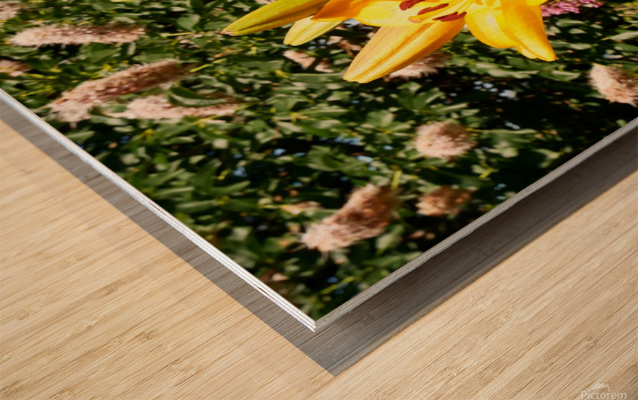 Bursting Beauty 2 Wood print