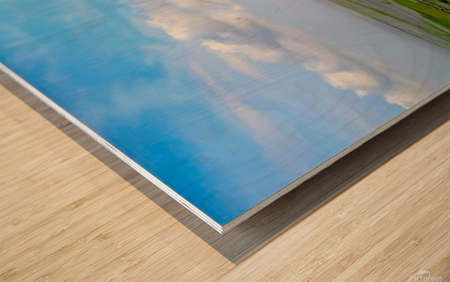 New Orleans from the Sky Wood print