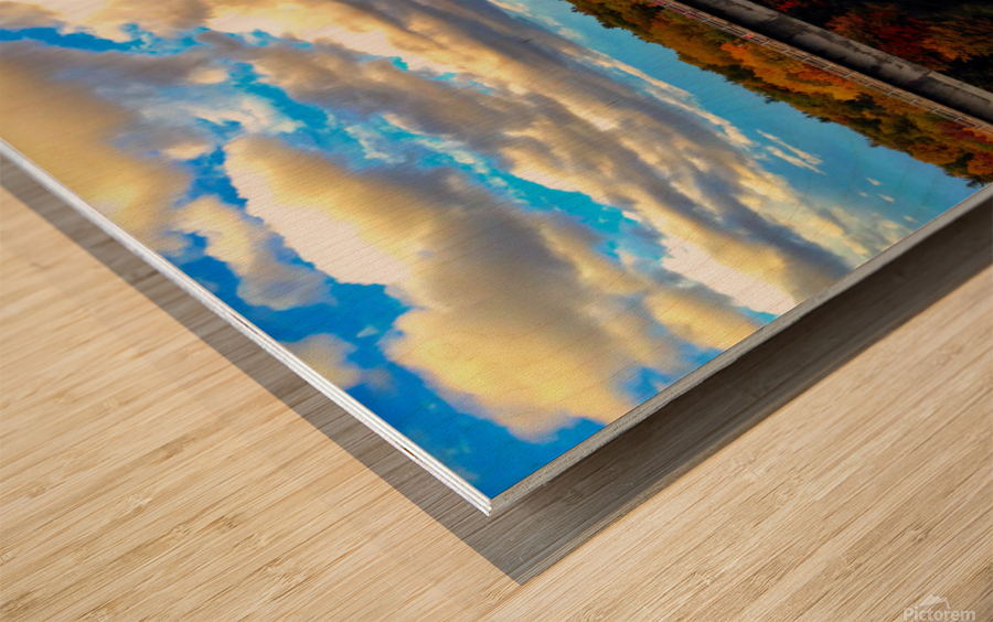 MI Reflections Wood print