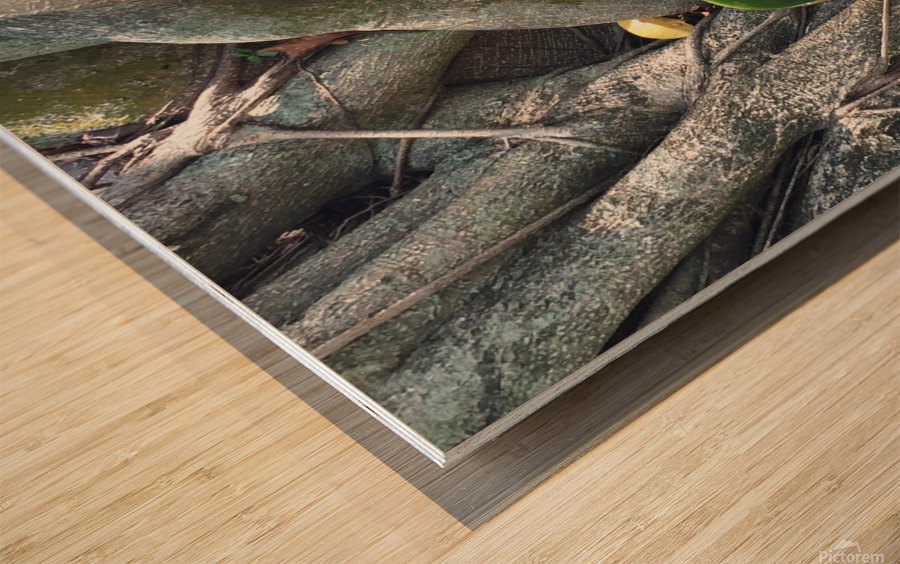 Natural Orchid 1 Wood print