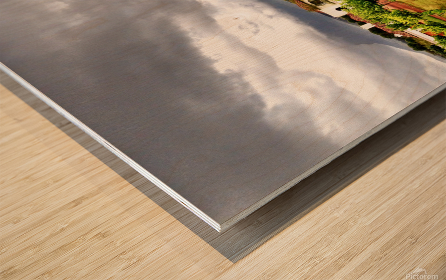 Vineyard in South Africa Wood print