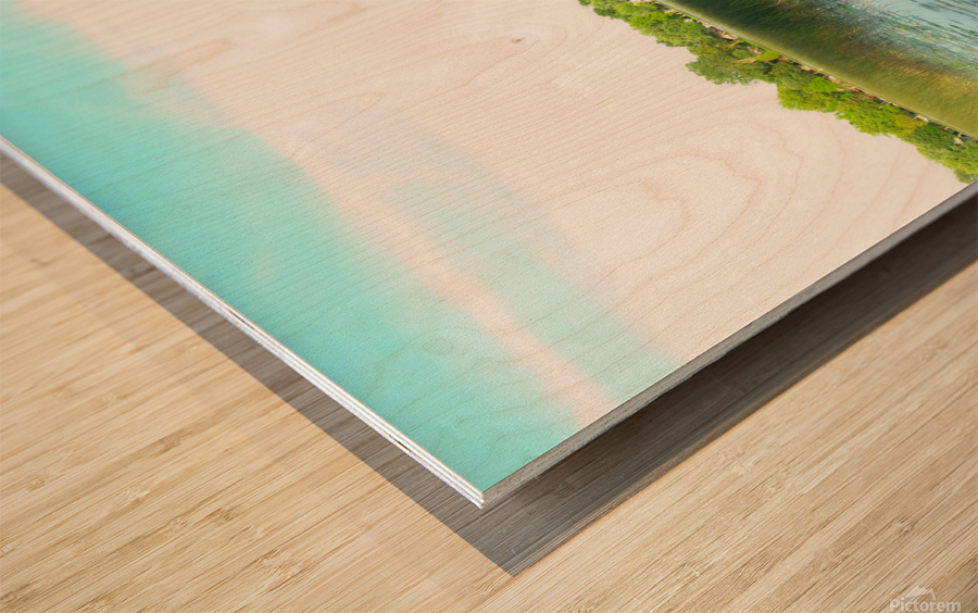 MI Swan Lake Wood print