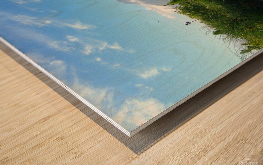 Out of Africa 2 Wood print