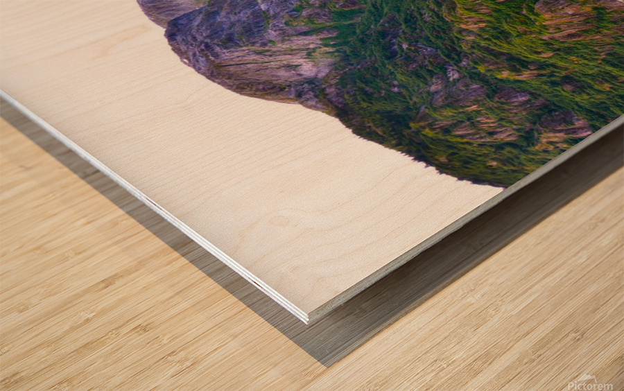 Majestic Mountains of Alaska 9 Wood print