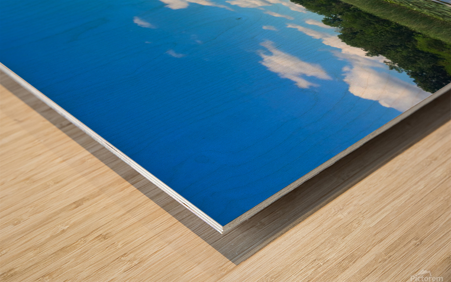 Blue By You Wood print