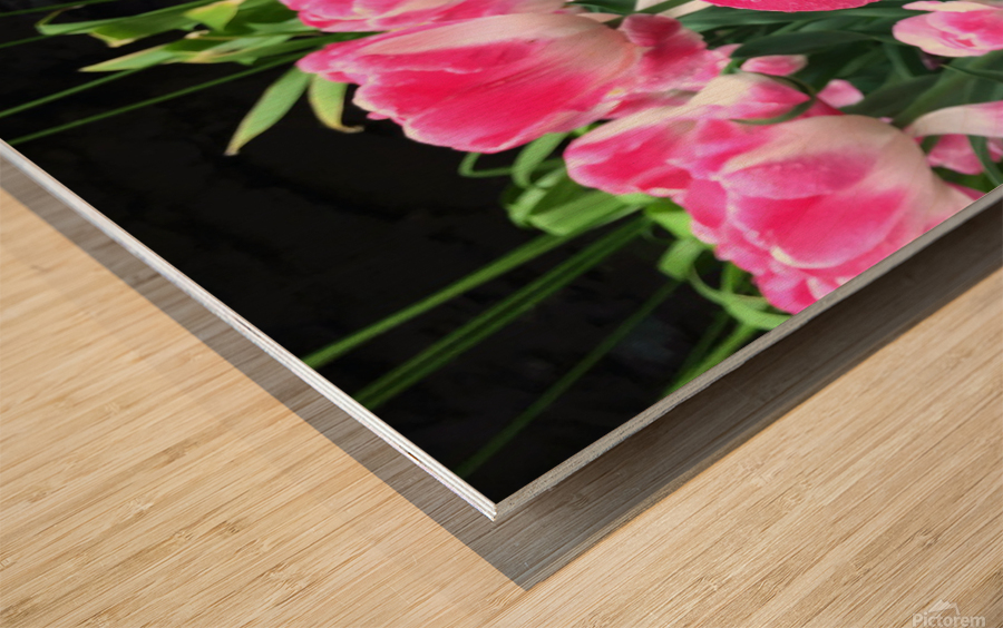Tulips Are Better Than One C Impression sur bois