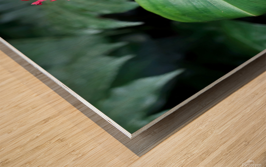 Flower Bud Wood print