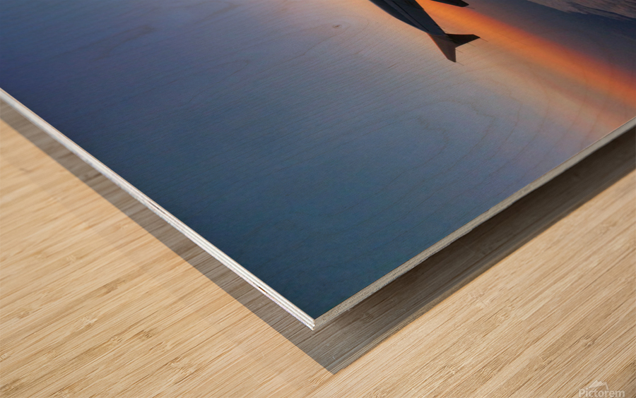 Flying into the Sunset 3 Wood print