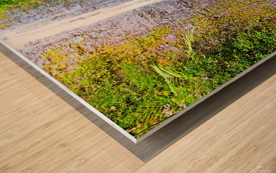 Falling for Colors Impression sur bois