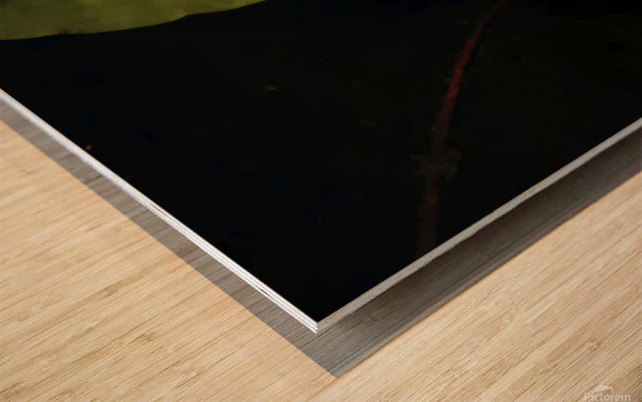 Blooms of Joy Wood print