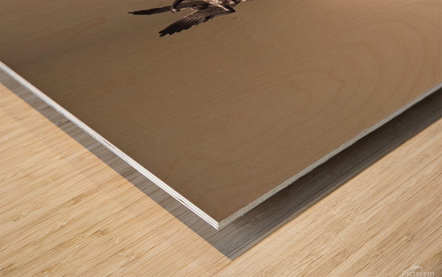 Museum Reflections 4C Wood print