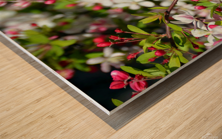 A Berry Cherry Blossom Day to You Wood print