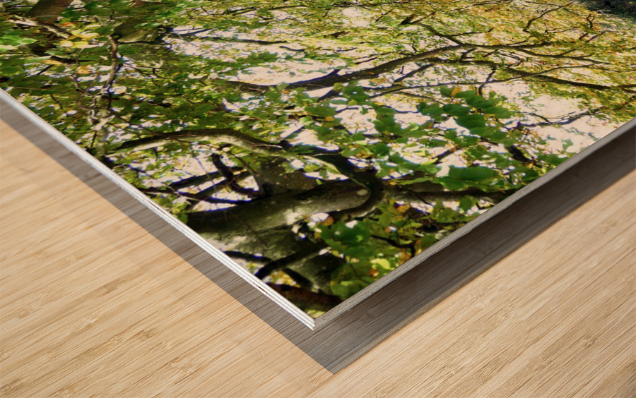 Rooted in Strength Impression sur bois