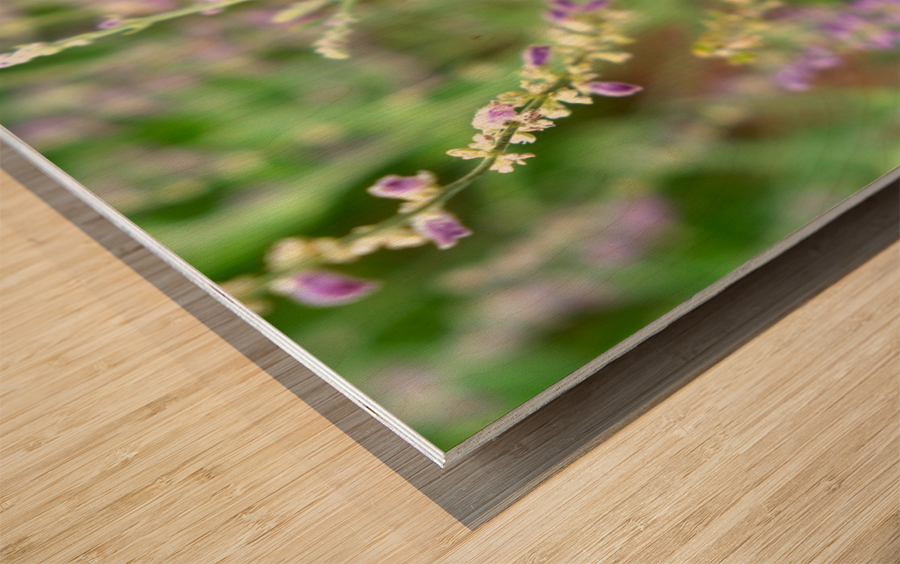 To Bee or Not to Bee -- Small Flower Big Flavor  Impression sur bois