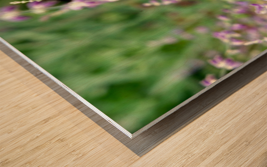 To Bee or Not To Bee--Small Flower Big Flavor 2 Wood print