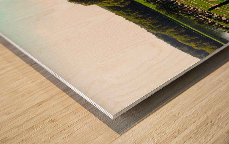 Palace of Versailles -- Gardens 3 Wood print