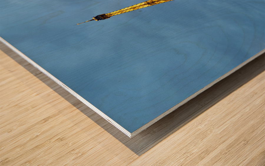 Eiffel Tower at Night 2B Wood print