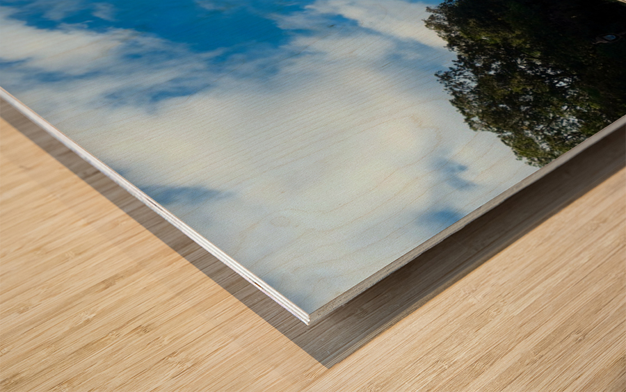 Sacred Heart of Montmartre -- Sacre-Cour Impression sur bois