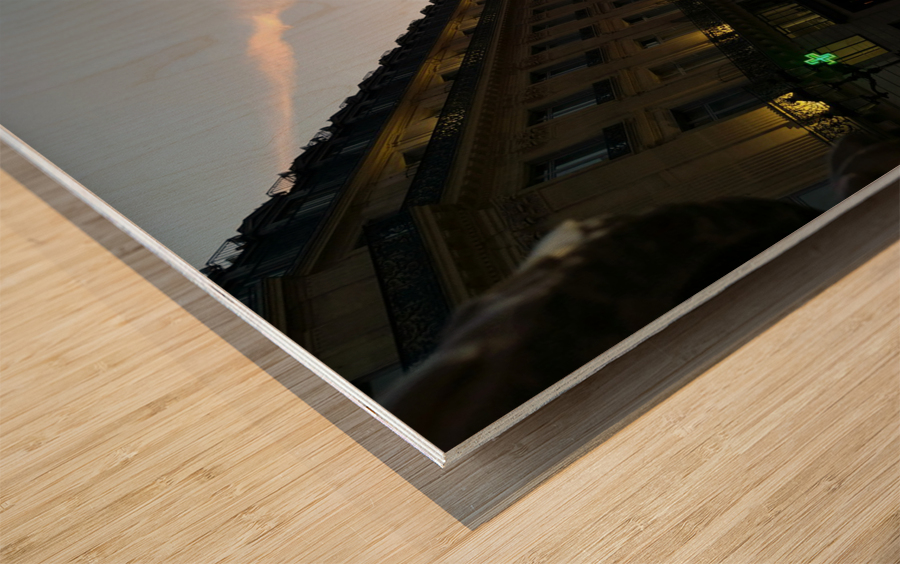 Streets of Paris -- The Palais Garnier 2 Wood print