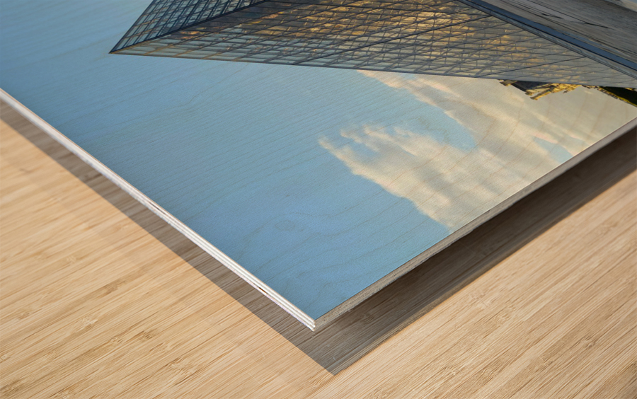 I Louvre Reflections Wood print