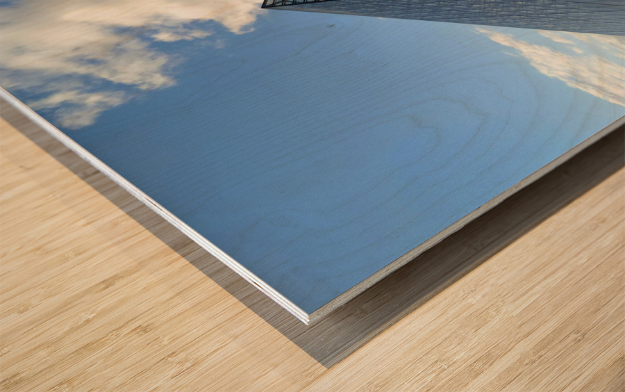 Just Louvre It 2C Wood print