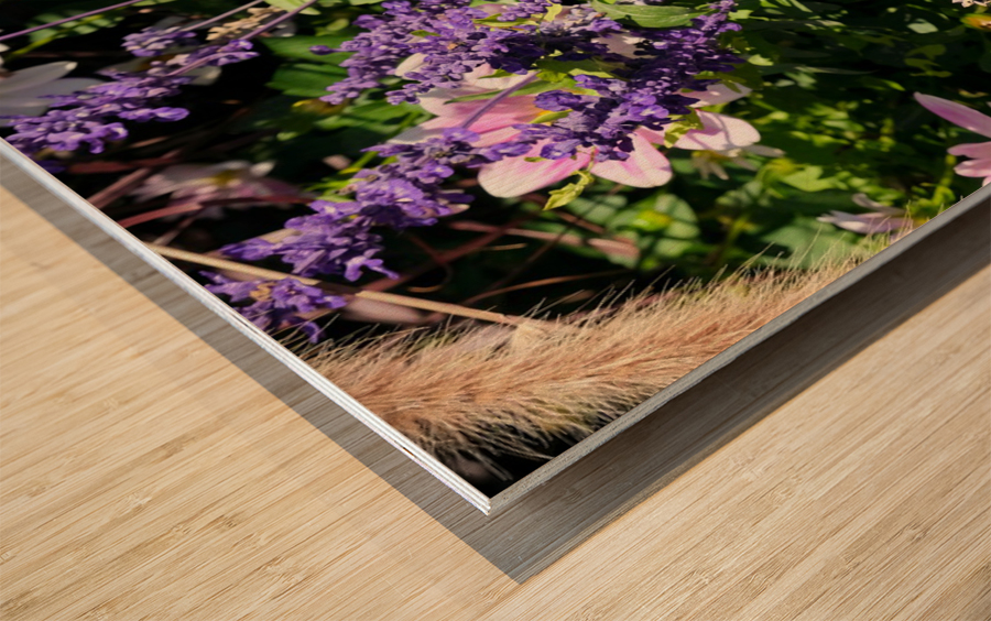 Blushing Petals 2 Wood print