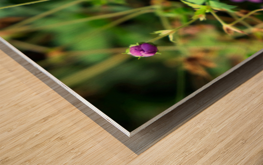 Flower Bloom 8B Wood print