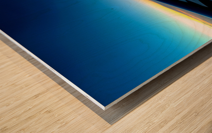 Got Spirit Wood print