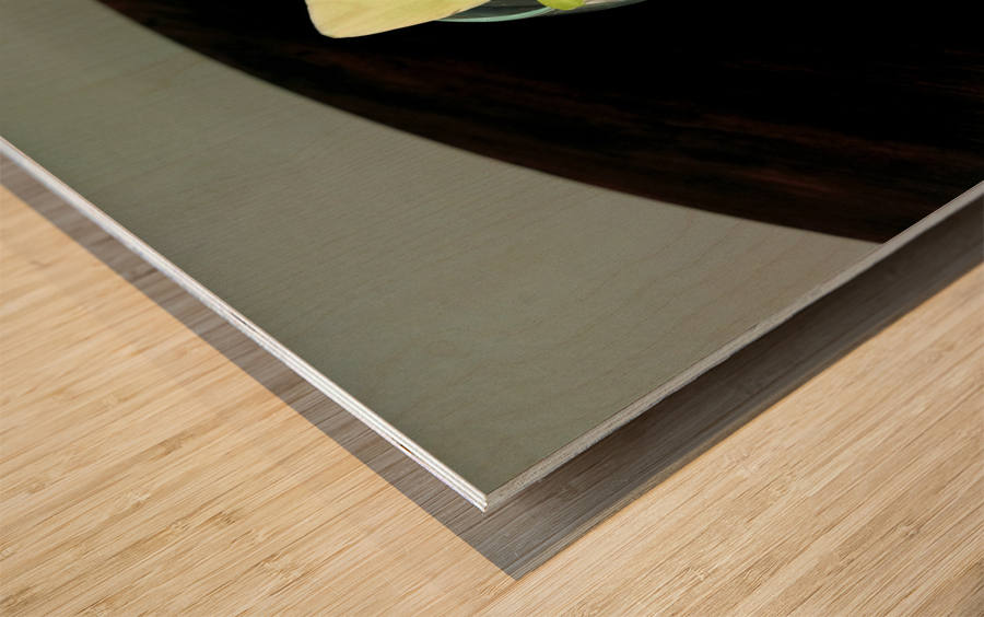 Glass Bloom 2 Impression sur bois