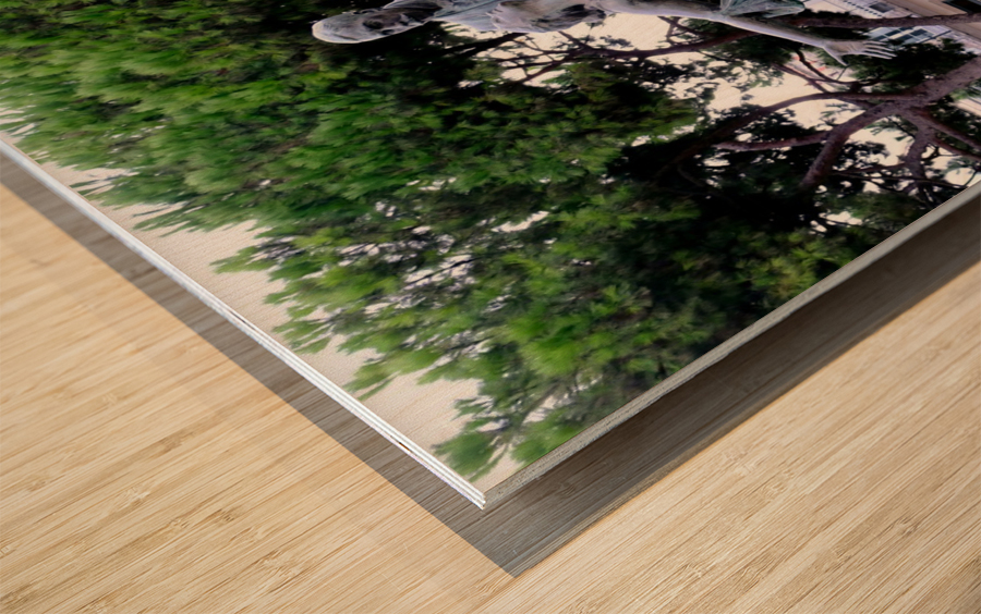 Walking through Lisbon 4 Wood print